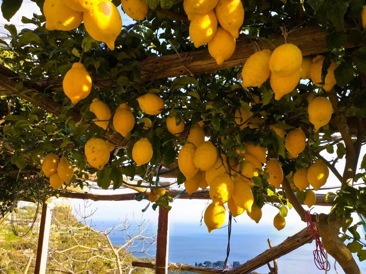 Amalfi Sea View Villa Скала Екстериор снимка